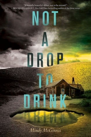 Review: Not a Drop to Drink by Mindy McGinniss
