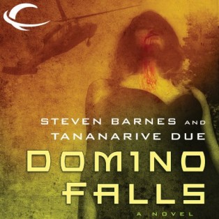 Audiobook Review: Domino Falls by Steven Barnes &Tananarive Due