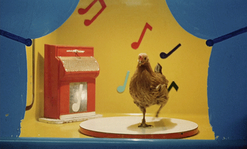 dancing chicken