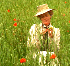 gif charlotte room with a view