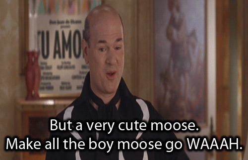 gif very cute moose princess diaries