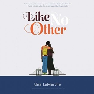Review: Like No Other by Una LaMarche