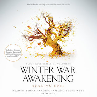 Winter War Awakening by Rosalyn Eves